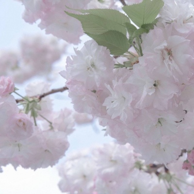 Furry绘画光影解析Furry群